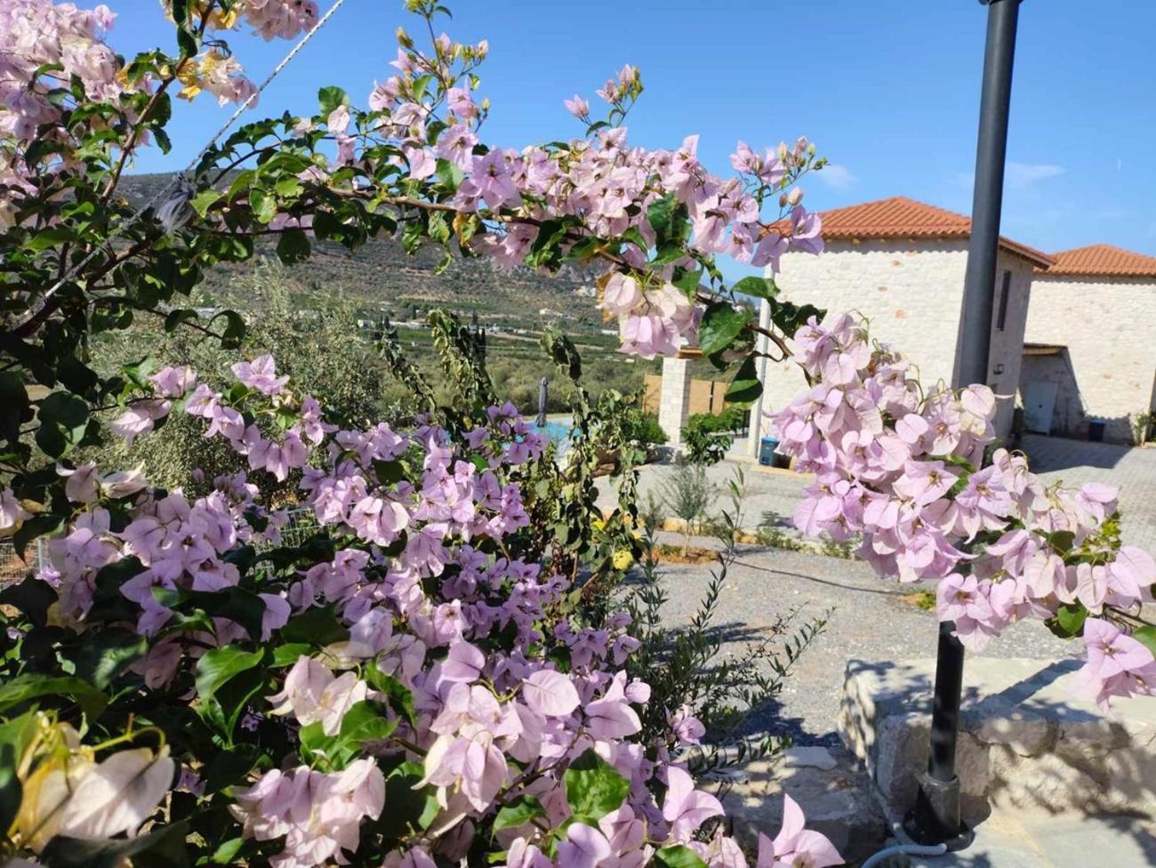 Gregory'S Farm Apartment Levkákia Екстериор снимка